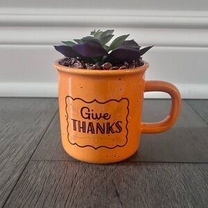 Thanksgiving Give Thanks Faux Succulant